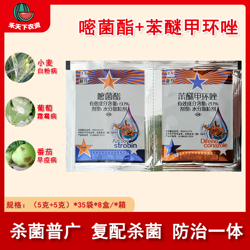 华戎靓方苯醚甲环唑嘧菌酯杀菌剂