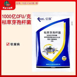 凯立生物亿强 克枯草芽孢杆菌白菜软腐病农药杀菌剂10g 1000亿