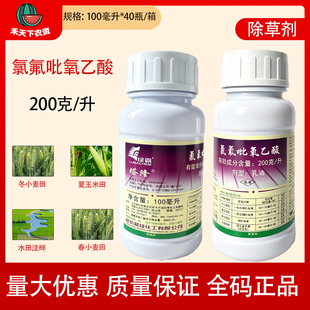 塔隆氯氟吡氧乙酸200克/升春冬小麦田玉米田杂草水花生农药除草剂