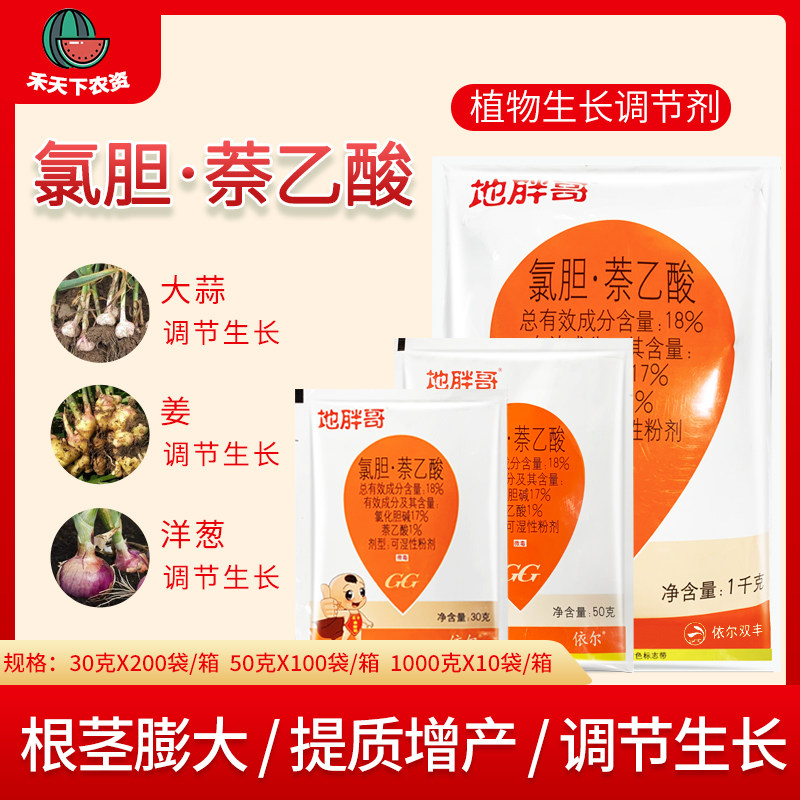 地胖哥氯胆萘乙酸  大蒜 姜 洋葱 三七 白术地下根茎块膨大剂增产