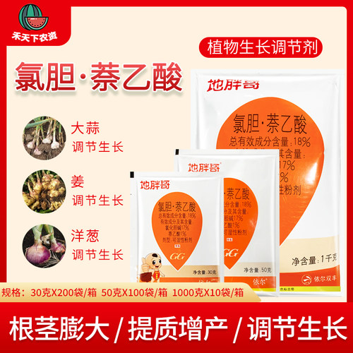 胖哥大蒜洋葱三七白术地下萘乙酸