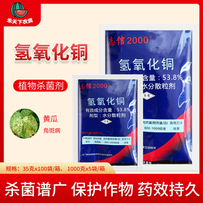 志信2000可杀得2000贰