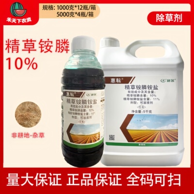 利尔惠耘精草铵膦铵盐非耕地杂草可溶液剂农药除草剂牛筋草小飞蓬
