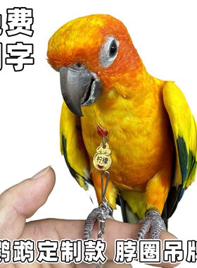定制鹦鹉户外拴鸟脖圈链子刻字