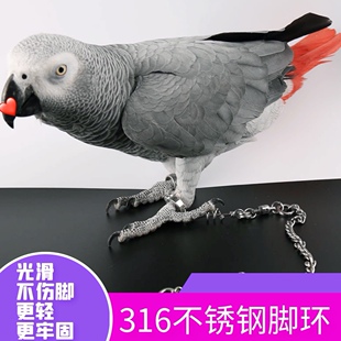 鹦鹉不锈钢脚环脚链鸟链子虎皮伯劳小太牡丹玄凤链子站架训练外出