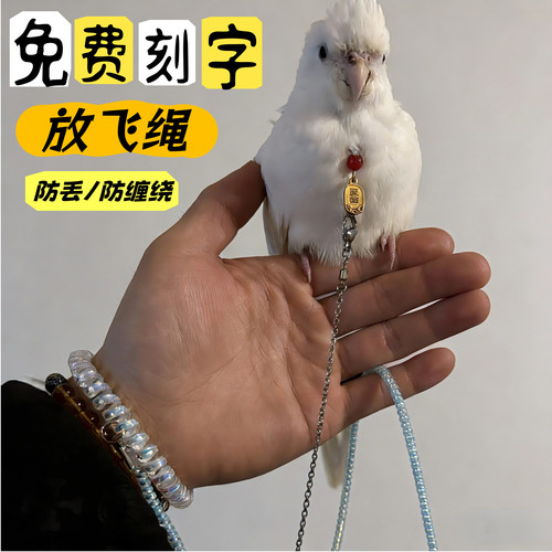 刻字鹦鹉鸟用脖圈超轻伸缩放飞绳和尚金太小太阳玄凤虎皮外出遛鸟