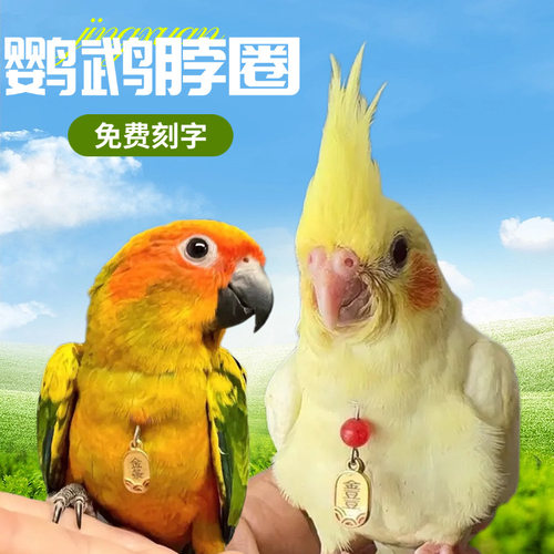 鹦鹉脖套定制刻字玄凤牡丹和尚金太阳脖圈脖套链子遛鸟脚环脚链
