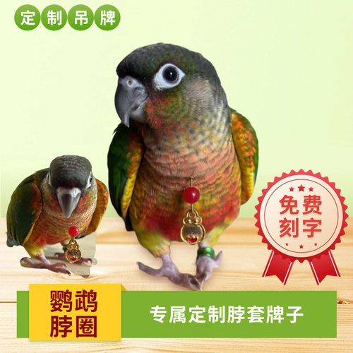 玄凤鹦鹉脖圈定制刻字小太阳吸蜜和尚金太阳牡丹脖套放飞绳吊牌
