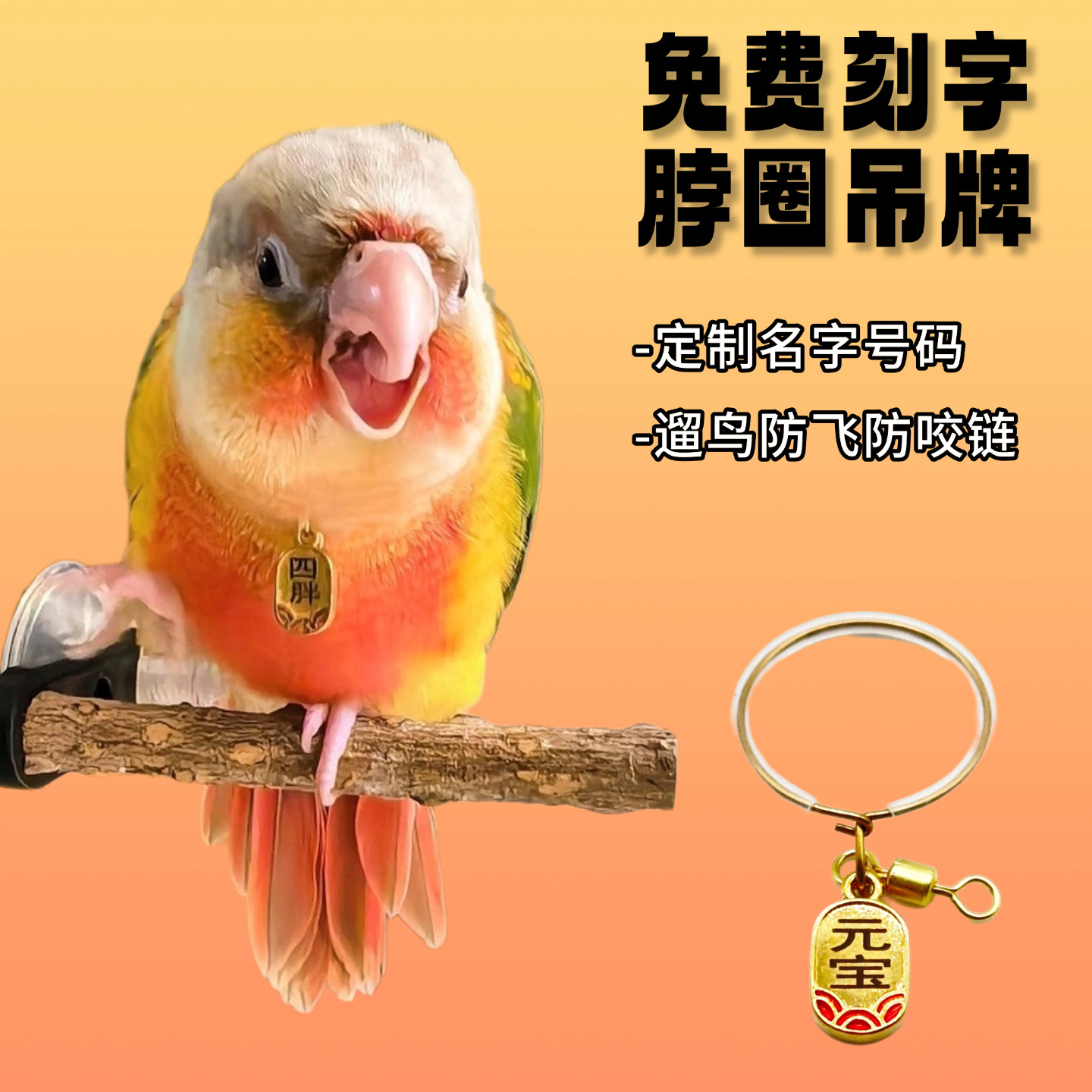 和尚小太阳金太牡丹玄凤鹦鹉脖套放飞训鸟站架脖圈栓鸟链子刻字牌