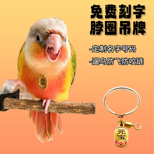 和尚小太阳金太牡丹玄凤鹦鹉脖套放飞训鸟站架脖圈栓鸟链子刻字牌