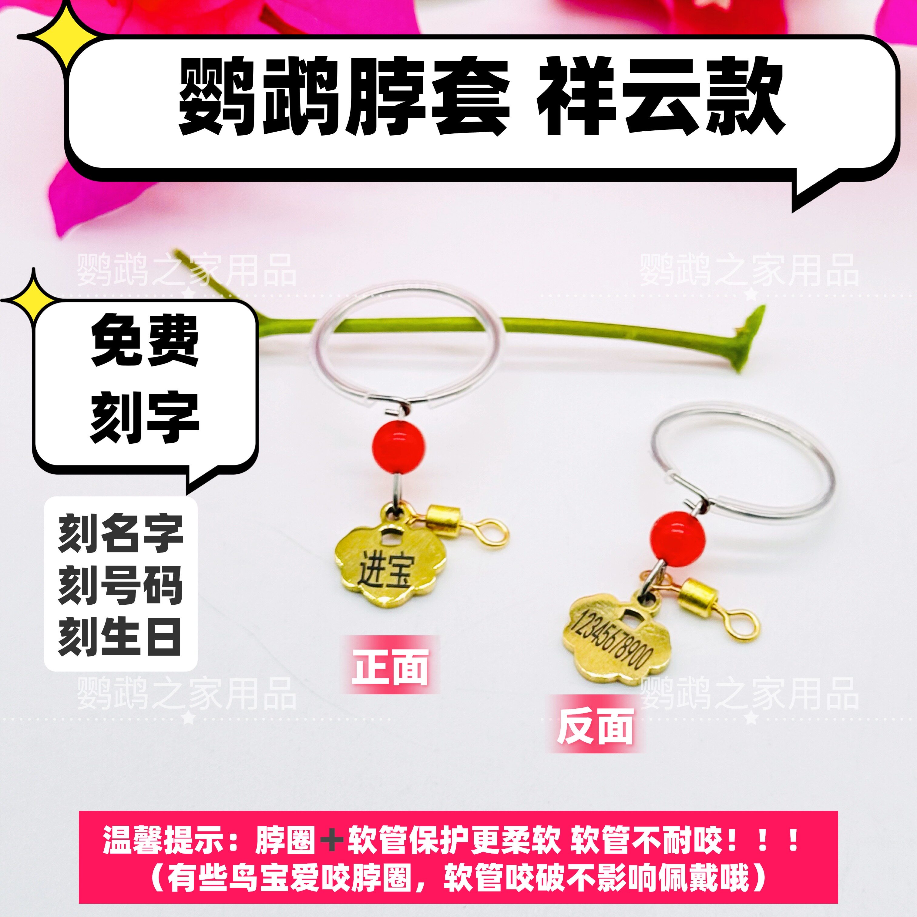 刻字鹦鹉脖套不锈钢链子玄凤牡丹小太阳和尚外出放飞脖圈脚环链子