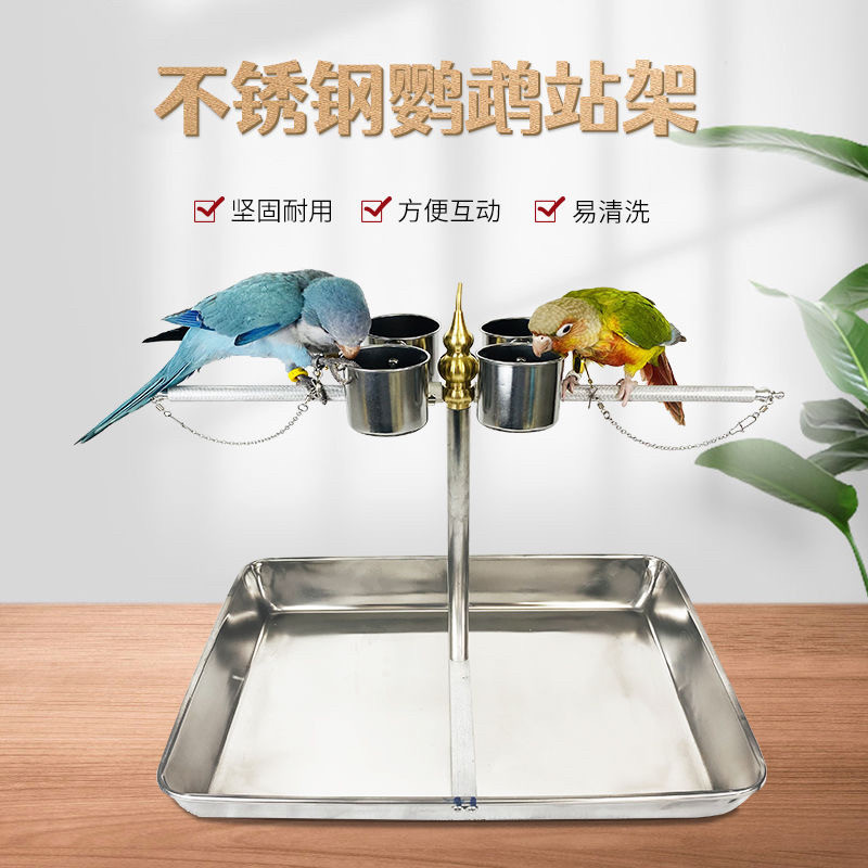 鹦鹉训练站架带盆单只鸟不锈钢站杠落地鸟盆脖套链架子脖圈链子