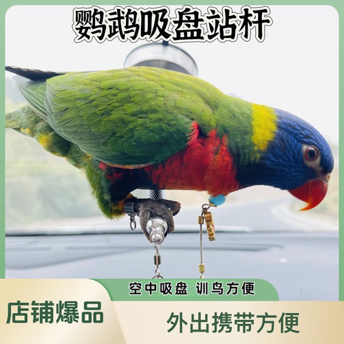 鹦鹉宠物鸟车把架牡丹虎皮玄凤小太站架外出便携自行车电动车鸟