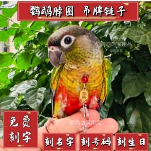 定制鹦鹉户外脖圈脚链脚环适用于玄凤金太阳和尚小太阳牡丹