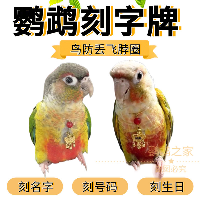 鹦鹉脖套定制刻字玄凤小太阳和尚金太阳放飞牡丹虎皮链子脚环链子