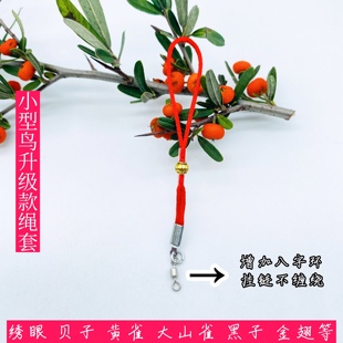 鸟用脖套黄雀颠颏绣眼伯劳小鸟脖套栓伯劳脖套手工鸟绳脖子