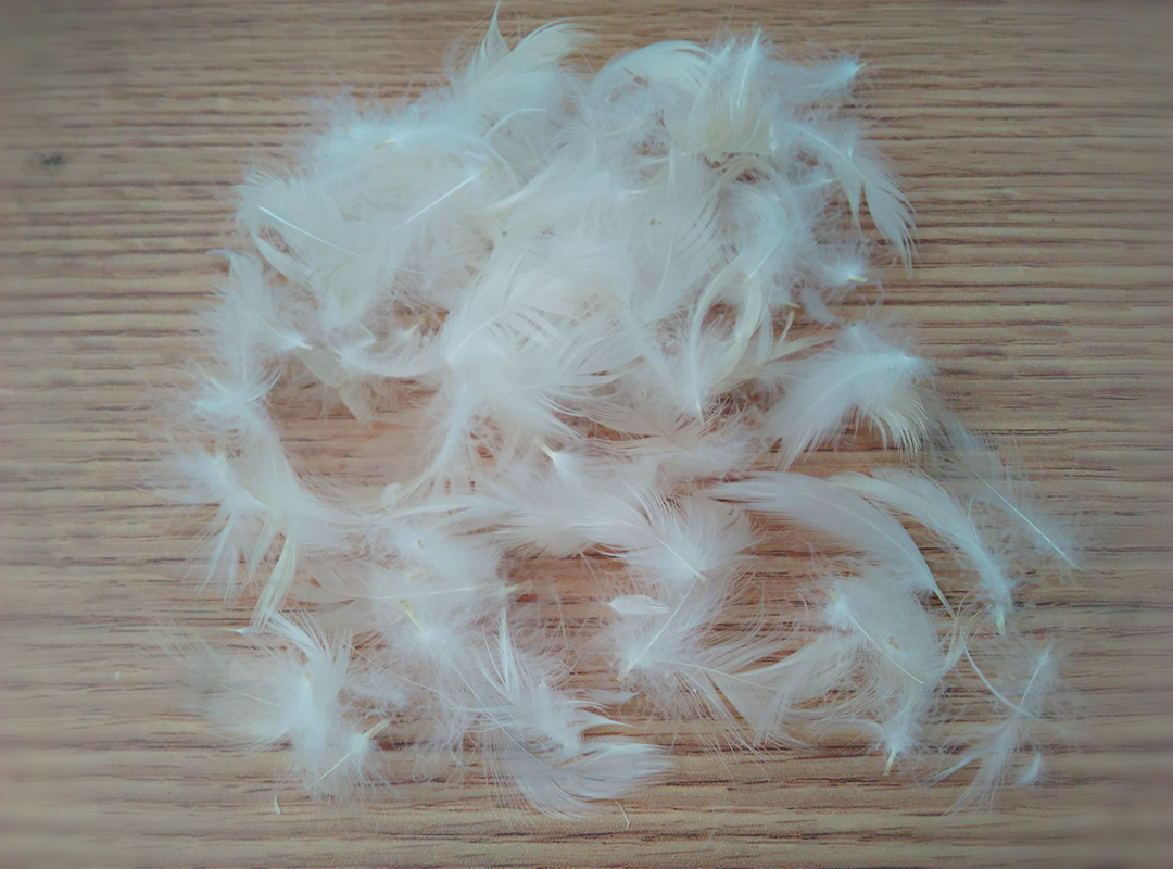 散装羽毛白鹅毛定做羽绒枕头芯沙发抱枕靠垫填充物无异味摄影道具