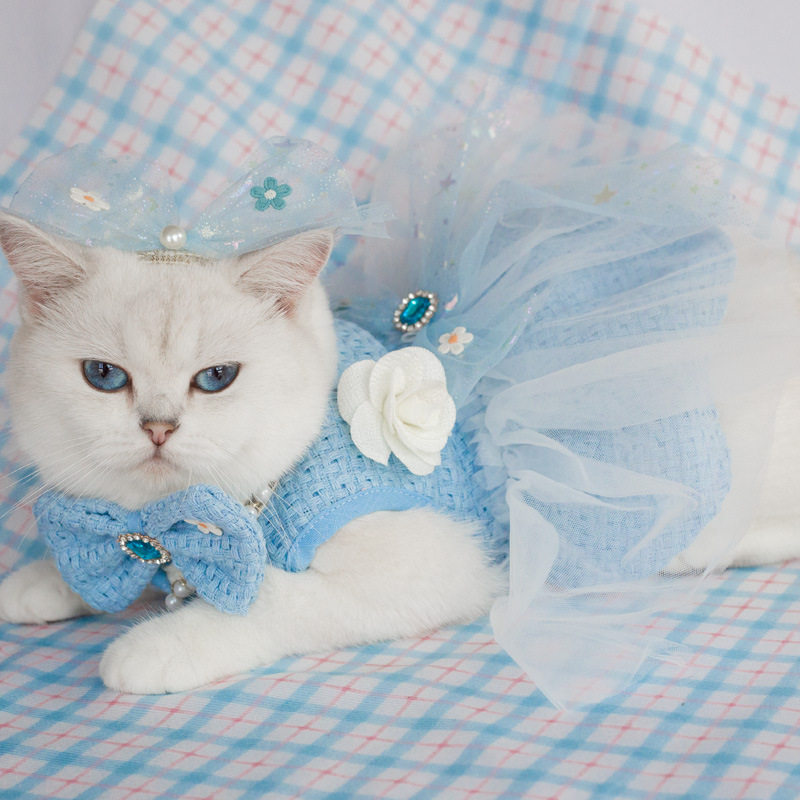 新款 手工小香风婚纱礼服宠物狗衣服 猫咪公主蓬蓬裙 跨境货源,宠物/宠物食品及用品,狗宠物服装/雨衣,淘宝优惠券,粉丝福利购,淘宝优惠卷