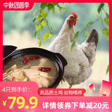 土鸡农家散养新鲜冷冻整鸡肉老母鸡溜达鸡正宗放养走地鸡草鸡笨鸡