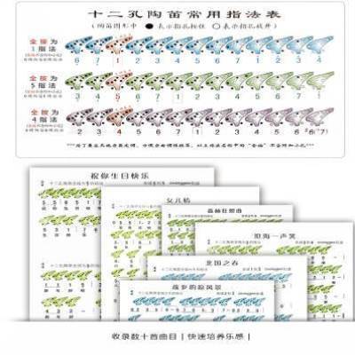 广东深圳陶笛十二孔秘籍宝典陶笛曲谱图形指法表12孔学习手册包