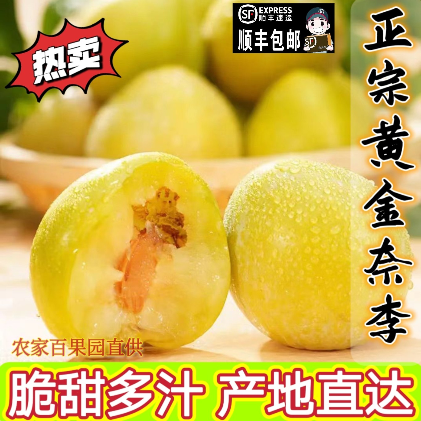 [顺丰包邮]正宗原产地10斤蜂糖黄金奈李子大果脆甜脱骨恐龙蛋水果