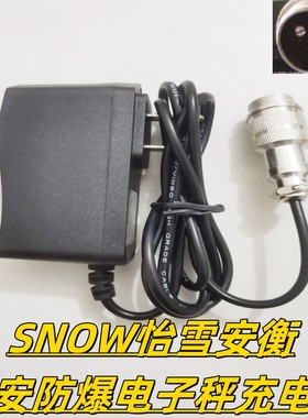 怡雪/飞亚/耀华朗科防爆秤充电器