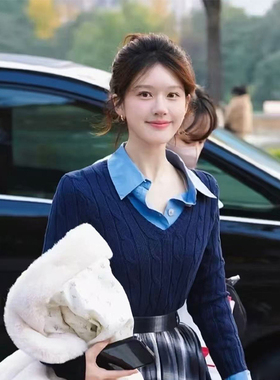 乐福佬仁女装 美式经碘纽花 V领针织衫we shi today D