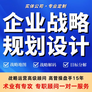 代写咨询 薪酬绩效管理考核激励全案设计公司全套制度战略规划解码