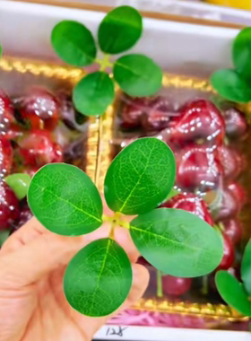 仿真绿色水果装饰小绿叶托盘圣女水果仿真杨梅琵琶水果店礼盒叶子