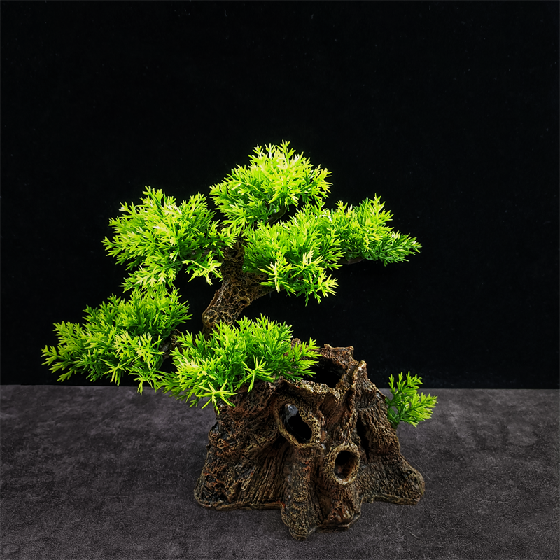 日式刺身摆盘装饰松树点缀创意