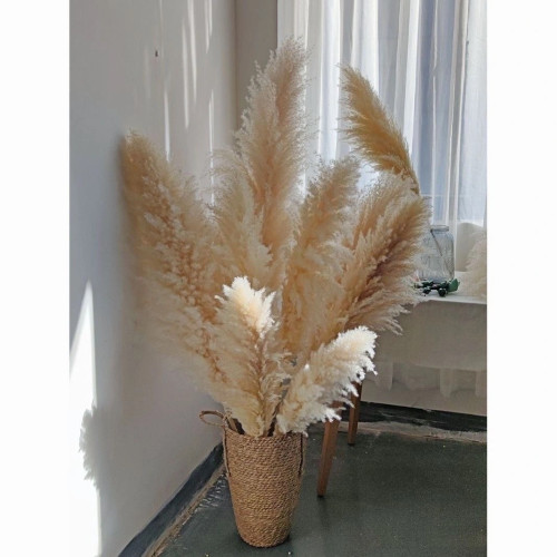 天然草编织干花芦苇花瓶高桶花盆