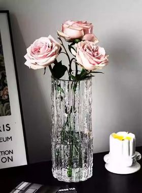 大号轻奢玻璃花瓶透明水养富贵竹客厅桌面插干花装饰摆件