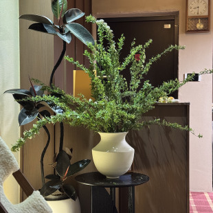 复古陶瓷花瓶日式土黄侘寂风装饰陶罐客厅水培干花粗陶插花器摆件