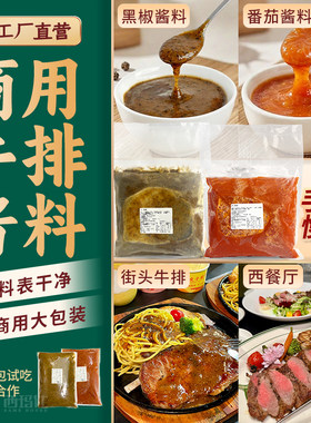 酱料商用批发地摊街头餐饮半成品