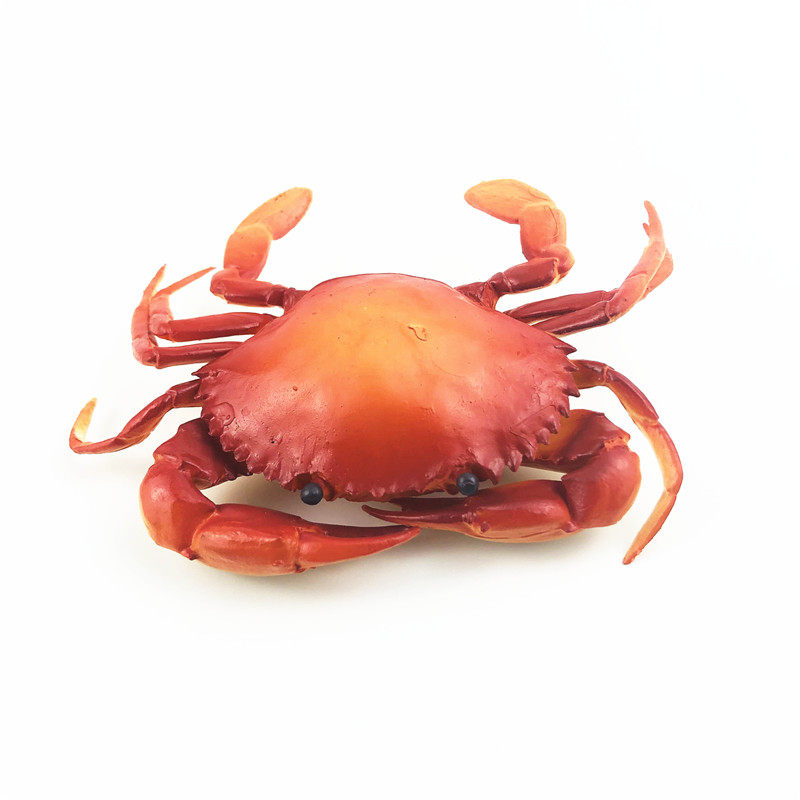 미국 AAA 벌크 3A 시뮬레이션 야생 동물 모델 게 붉은 게 푸른 게 장식품