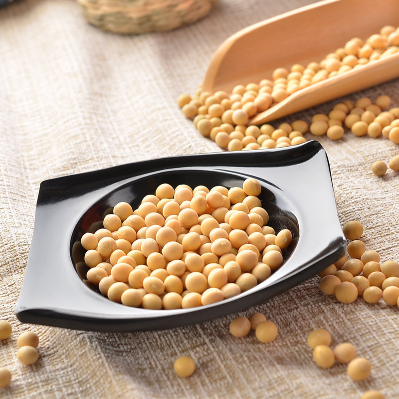 有机黄豆400g东北五谷杂粮粗粮笨大豆可发豆芽豆浆豆