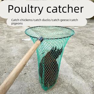 野外抓鸡神器网捕鸡专用网逮土鸡加长杆抄网器户外抓鸭网兜捕鸽子