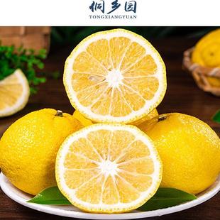 正宗贵州榕江村超干烈高山黄金贡柚现摘现发新鲜多汁清甜手剥柚