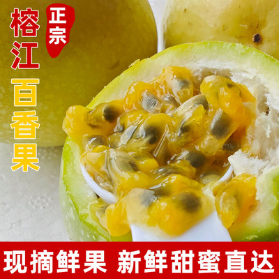 顺丰包邮贵州从江榕江村超头苼钦密9号黄金百香果新鲜百果酱当季