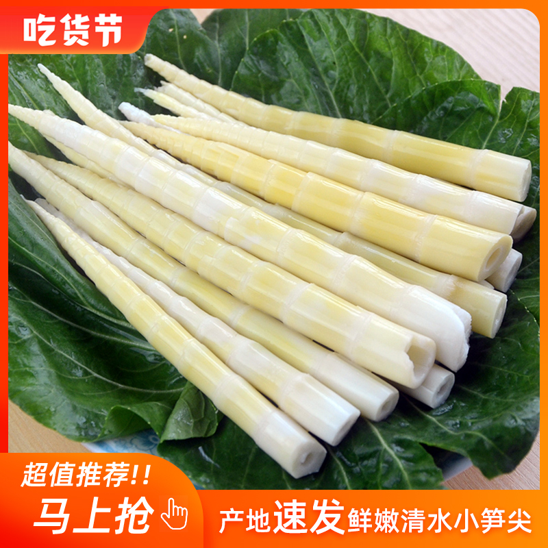 江西清水竹笋春笋尖新鲜小竹笋