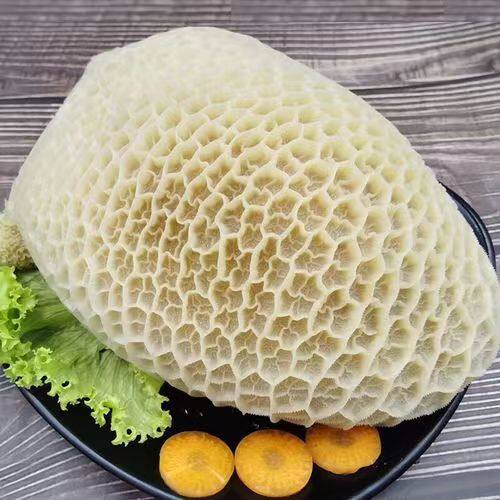 纯干金钱肚整个蜂窝肚熟黄金肚