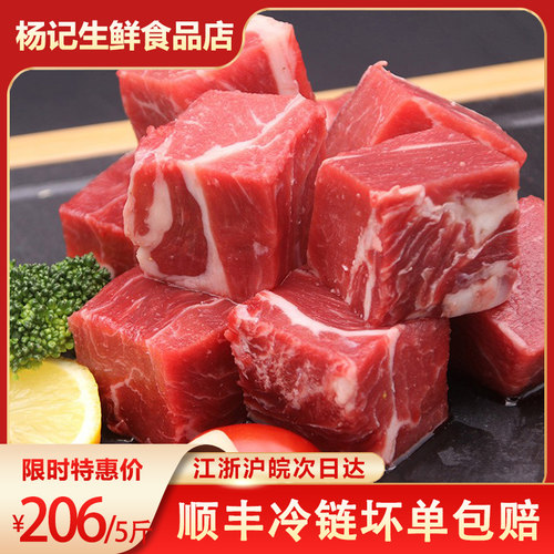 食牪牛肉商用生鲜冰鲜牛腩块粒