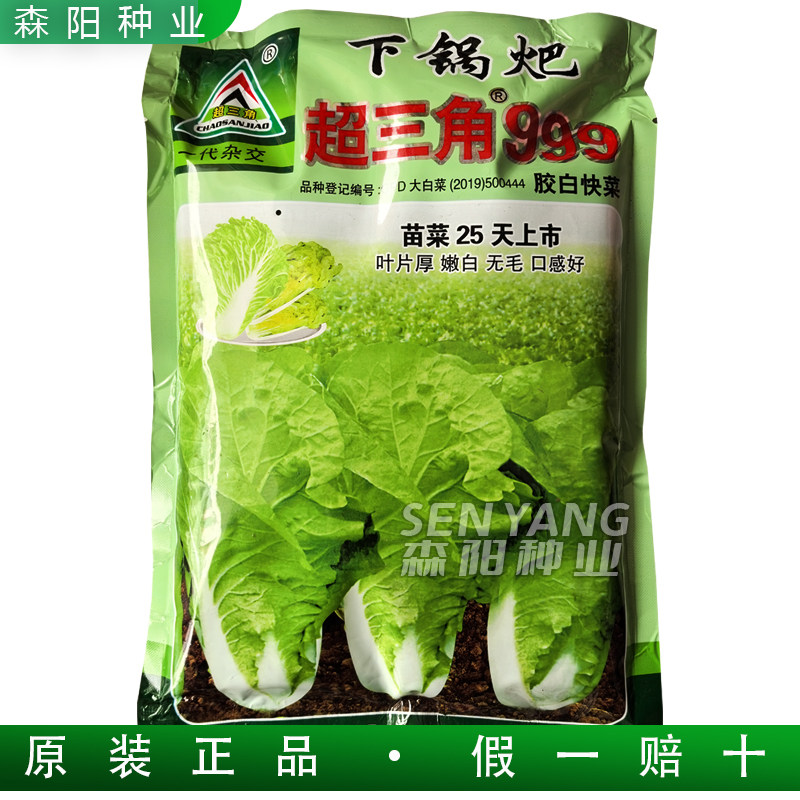 超三角999胶白真好吃奶油快菜小白菜种子德高536早熟长江5号苗菜
