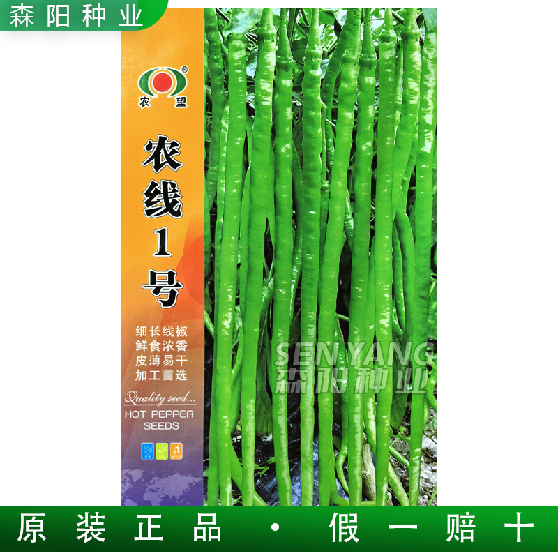 农望农线1号辣椒种薄皮鲜食加工