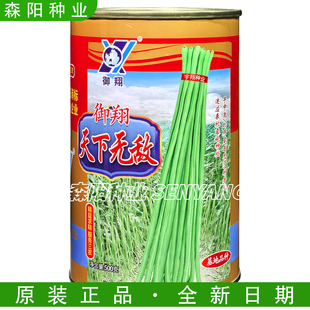 御翔天下无敌豇豆种子早中熟抗病耐老化春秋季基地长豆角四季菜豆