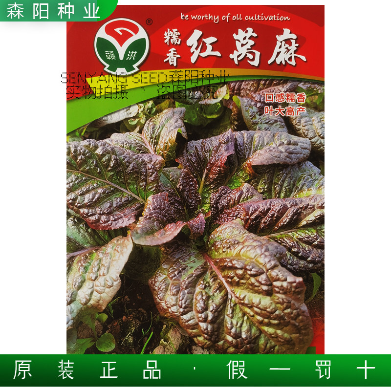 赣洪糯香红窝麻菜种子大叶莴苣菜莴鸡菜四季蔬菜阳台盆栽青菜种籽,农用物资,蔬菜种子/种苗,淘宝优惠券,粉丝福利购,淘宝优惠卷