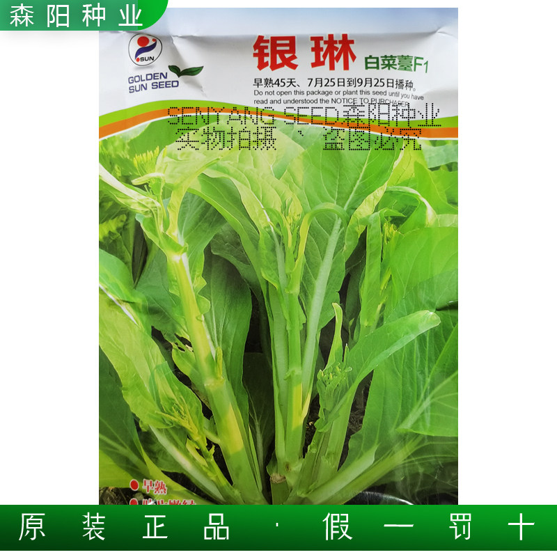 银琳白菜苔种子250克早熟菜心秋冬季黄叶四九月甜菜心五彩黄苔1号