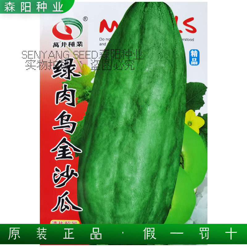 绿肉乌金沙瓜种子早熟薄皮甜瓜新香玉菜瓜哈密香瓜绿瓤酥脆香甜宝