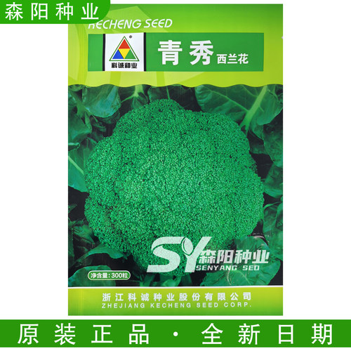 科诚青秀西兰花种子70天中熟