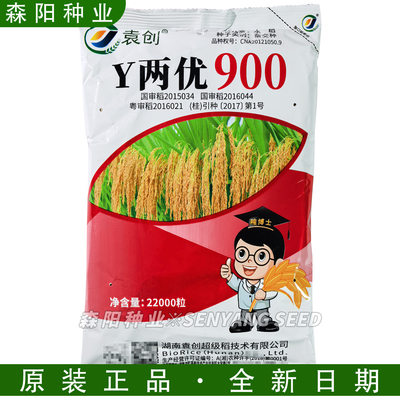 袁创Y两优900水稻杂交种